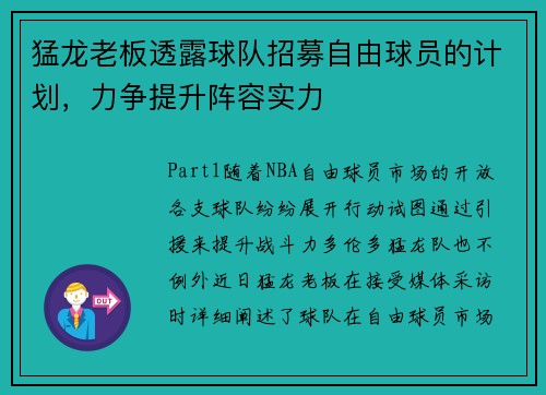 猛龙老板透露球队招募自由球员的计划，力争提升阵容实力